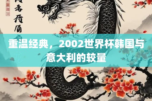 重温经典，2002世界杯韩国与意大利的较量漯河市盈旭机械设备有限公司