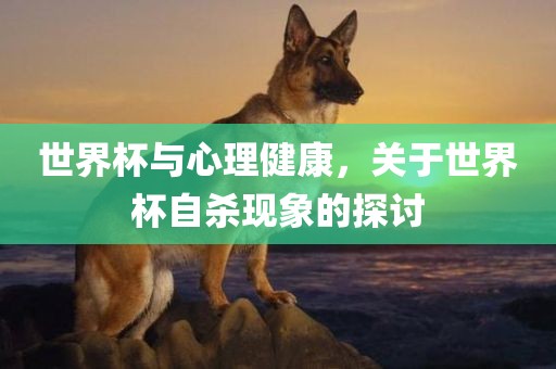 世界杯与心理健康，关于世界杯自杀现象的探讨漯河市盈旭机械设备有限公司