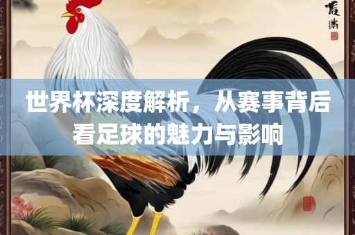 世界杯深度解析，从赛事背后看足球的魅力与影响