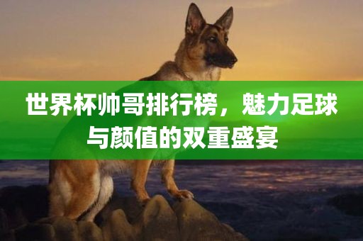 世界杯帅哥排行榜，魅力足球与颜漯河市盈旭机械设备有限公司值的双重盛宴