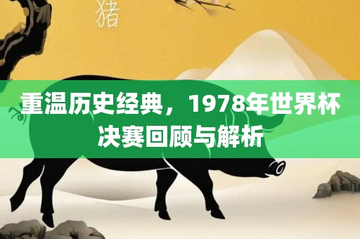 重温历史经典，1978年世界杯决赛回顾与解析