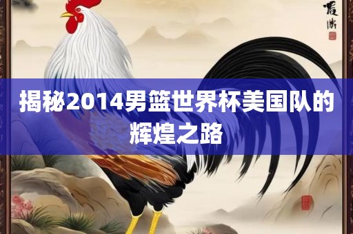 揭秘2014男篮世界杯美国队的辉漯河市盈旭机械设备有限公司煌之路
