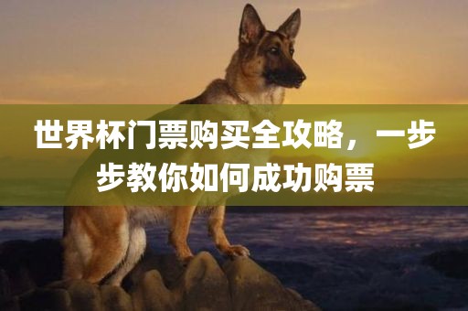 世界杯门票购买全攻略，一步步教你如何成功购票