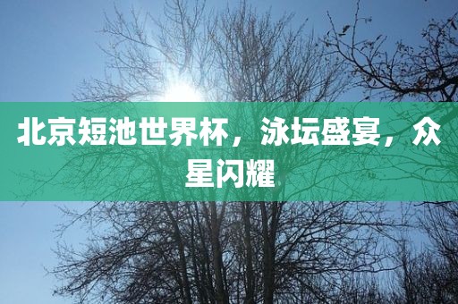 北京短池世界杯漯河市盈旭机械设备有限公司，泳坛盛宴，众星闪耀