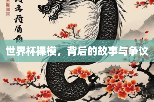 世界杯裸模，背后的故事与争议