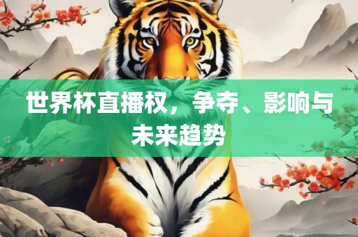 世界杯直播权，争夺、影响与未来趋势漯河市盈旭机械设备有限公司