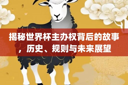 揭秘世界杯主办权背后的故事，历史、规则与未来展望漯河市盈旭机械设备有限公司