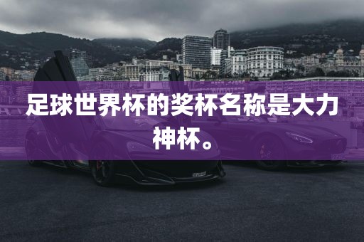 足球世界杯 第5页