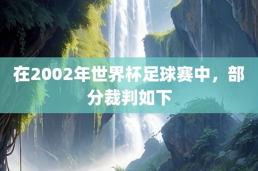 在2002年世界杯足球赛中，部分裁判如下漯河市盈旭机械设备有限公司