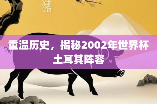 重温历史，揭秘2002年世界杯土耳其阵容