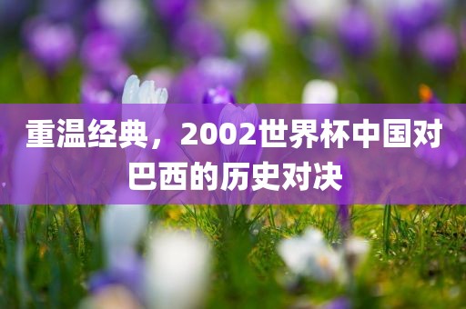 重温经典，2002世界杯中国对巴西的历史对决
