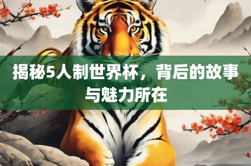 揭秘5人制世界杯，背后的故事与魅力所在