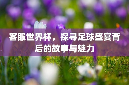 zhangyanan 第6页