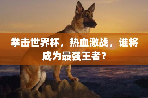 拳击世界杯，热血激战，谁将成为最强王者？