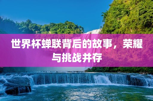 世界杯蝉联背后的故事，荣耀与挑战并存