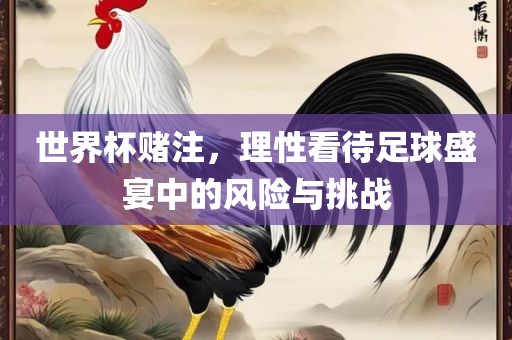 世界杯赌注，理性看待足球盛宴中的风险与挑战