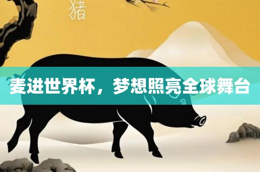 麦进世界杯，梦想照亮全球舞台