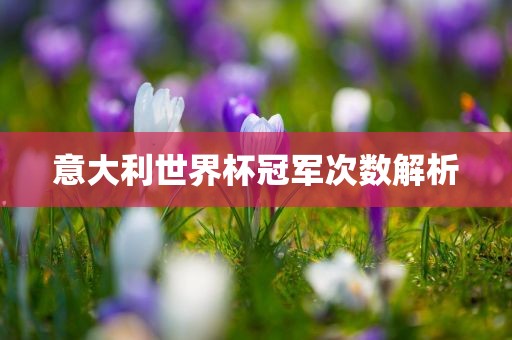 意大利世界杯冠军次数解析