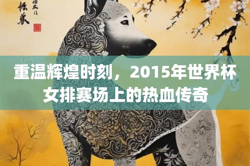 重温辉煌时刻，2015年世界杯女排赛场上的热血传奇