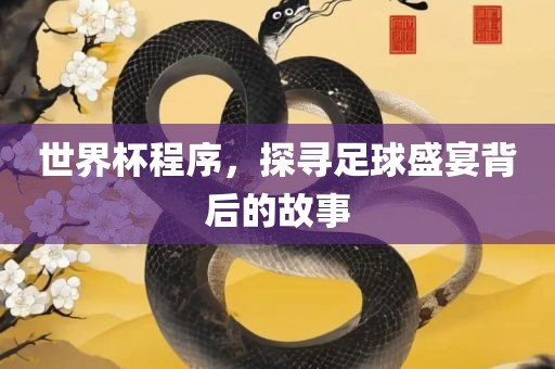 世界杯程序，探寻足球盛宴背后的故事