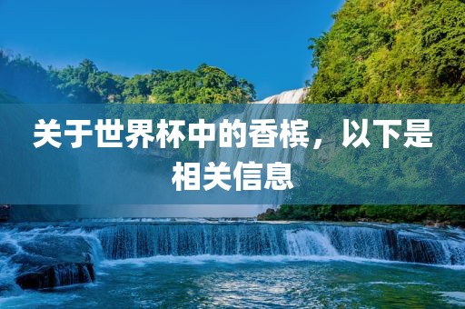 关于世界杯中的香槟，以下是相关信息