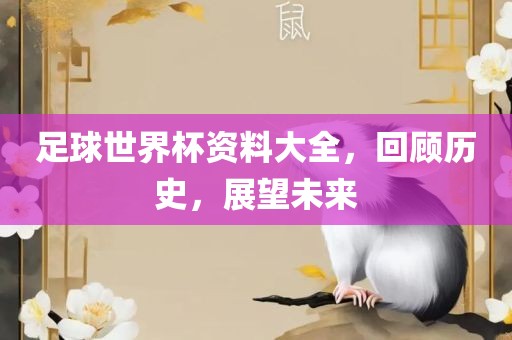 足球世界杯资料大全，回顾历史，漯河市盈旭机械设备有限公司展望未来