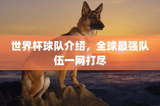 世界杯球队介绍，全球最强队伍一网打尽漯河市盈旭机械设备有限公司