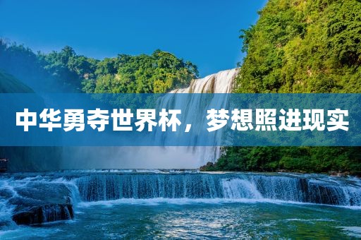 中华勇夺世界杯，梦想照进现实
