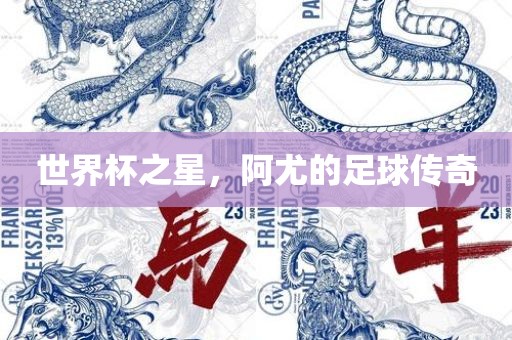 世界杯之星，阿尤的足球传奇