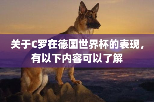 zhangzhiqiang 第7页