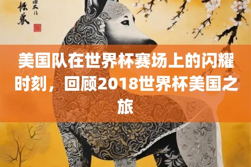 美国队在世界杯赛场上的闪耀时刻，回顾2018世界杯美国之旅漯河市盈旭机械设备有限公司