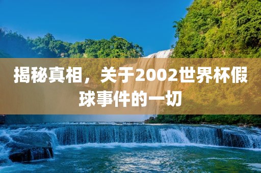 揭秘真相，关于2002世界杯假球事件的一切