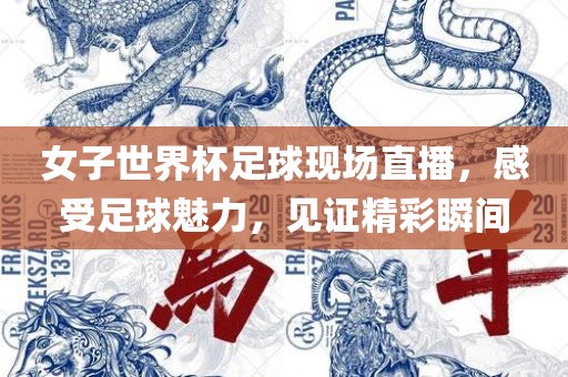 女子世界杯足球现场直播，感受足球魅力，见证精彩瞬间漯河市盈旭机械设备有限公司
