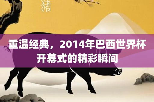 重温经典，2014年巴西世界杯开幕式的精彩瞬间漯河市盈旭机械设备有限公司
