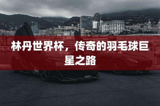林丹世界杯，传奇的羽毛球巨星之路漯河市盈旭机械设备有限公司