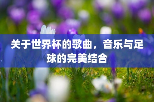 关于世界杯的歌曲，音乐与足球的完美结合