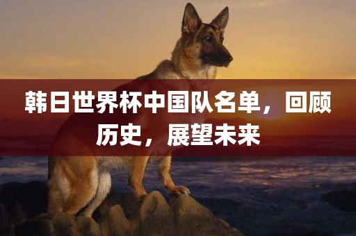 韩日世界杯中国队名单，回顾历史，展望未来漯河市盈旭机械设备有限公司
