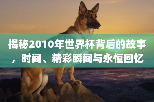 揭秘2010年世界杯背后的故事，时间、精彩瞬间与永恒回忆