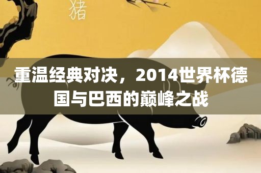 重温经典对决，2014世界杯德国与巴西的巅峰之战