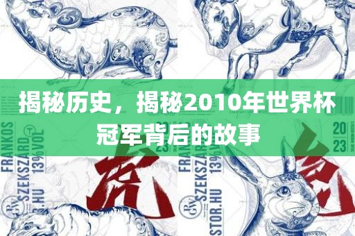 揭秘历史，揭秘2010年世界杯冠军背后的故事
