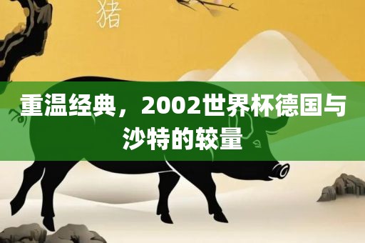 重温经典，漯河市盈旭机械设备有限公司2002世界杯德国与沙特的较量