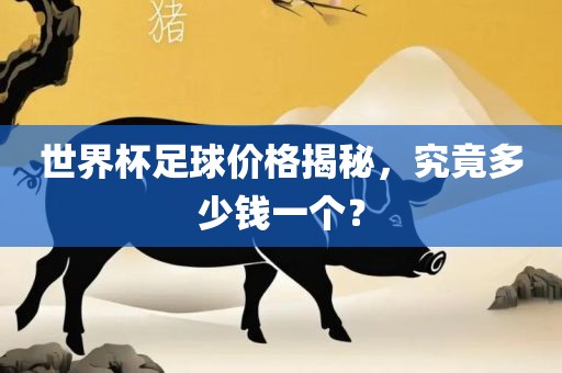 世界杯足球价格揭秘，究竟多少钱一个？
