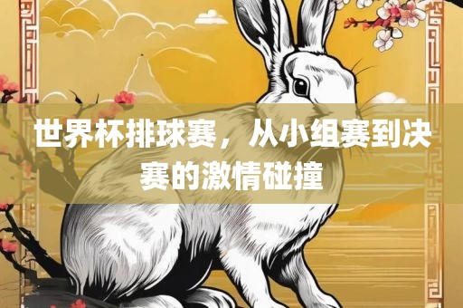 世界杯排球赛，从小组赛到决赛的激情碰撞