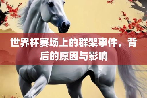 世界杯赛场上的群架事件，背后的原因与影响漯河市盈旭机械设备有限公司