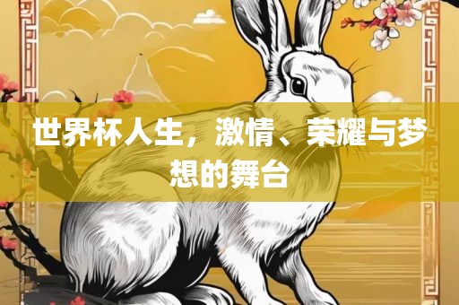 世界杯人生，激情、荣耀与梦想的舞台