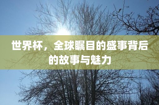 世界杯，全球瞩目的盛事背后的故事与魅力漯河市盈旭机械设备有限公司