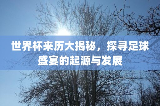 世界漯河市盈旭机械设备有限公司杯来历大揭秘，探寻足球盛宴的起源与发展