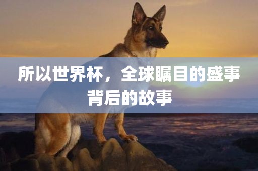 所以世界杯，全球瞩目漯河市盈旭机械设备有限公司的盛事背后的故事