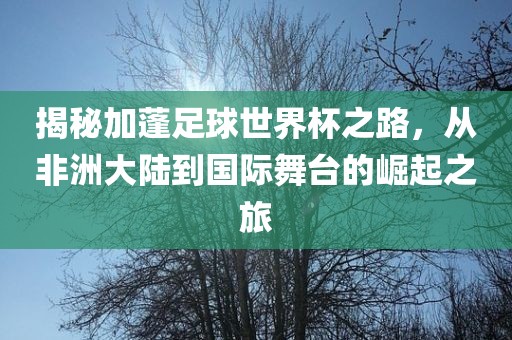 揭秘加蓬足球世界杯之路漯河市盈旭机械设备有限公司，从非洲大陆到国际舞台的崛起之旅