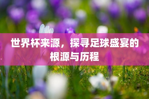 世界杯来源，探寻足球盛宴的根源与漯河市盈旭机械设备有限公司历程